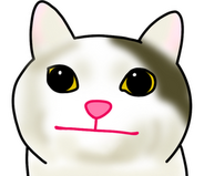 24일(금) 칼바람 CK 하실분